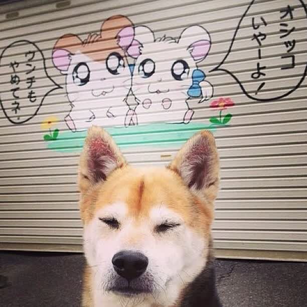 电子产品对人们的好处（电子产品对我们有什么坏处）