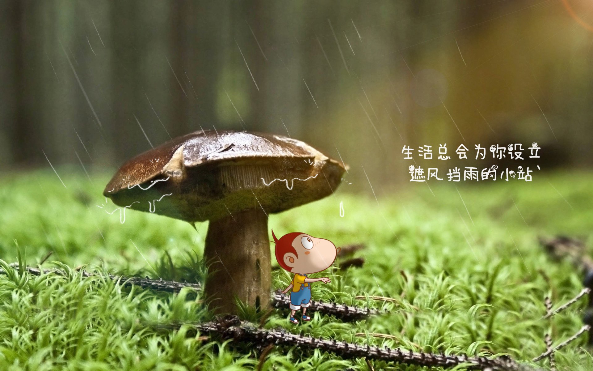 什么叫家居用品呢（家居类用品有什么）